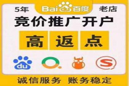 电商成功案例：竞价推广助力品牌崛起